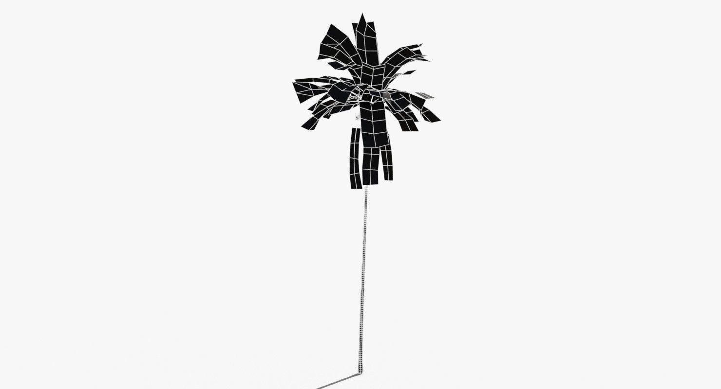 Coconut Palm Tree 30505 Low-poly 3D model_13