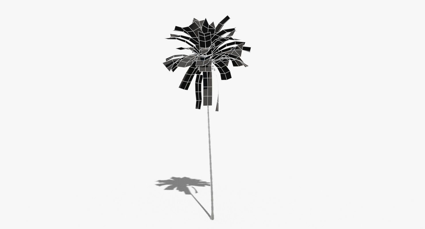 Coconut Palm Tree 30505 Low-poly 3D model_9