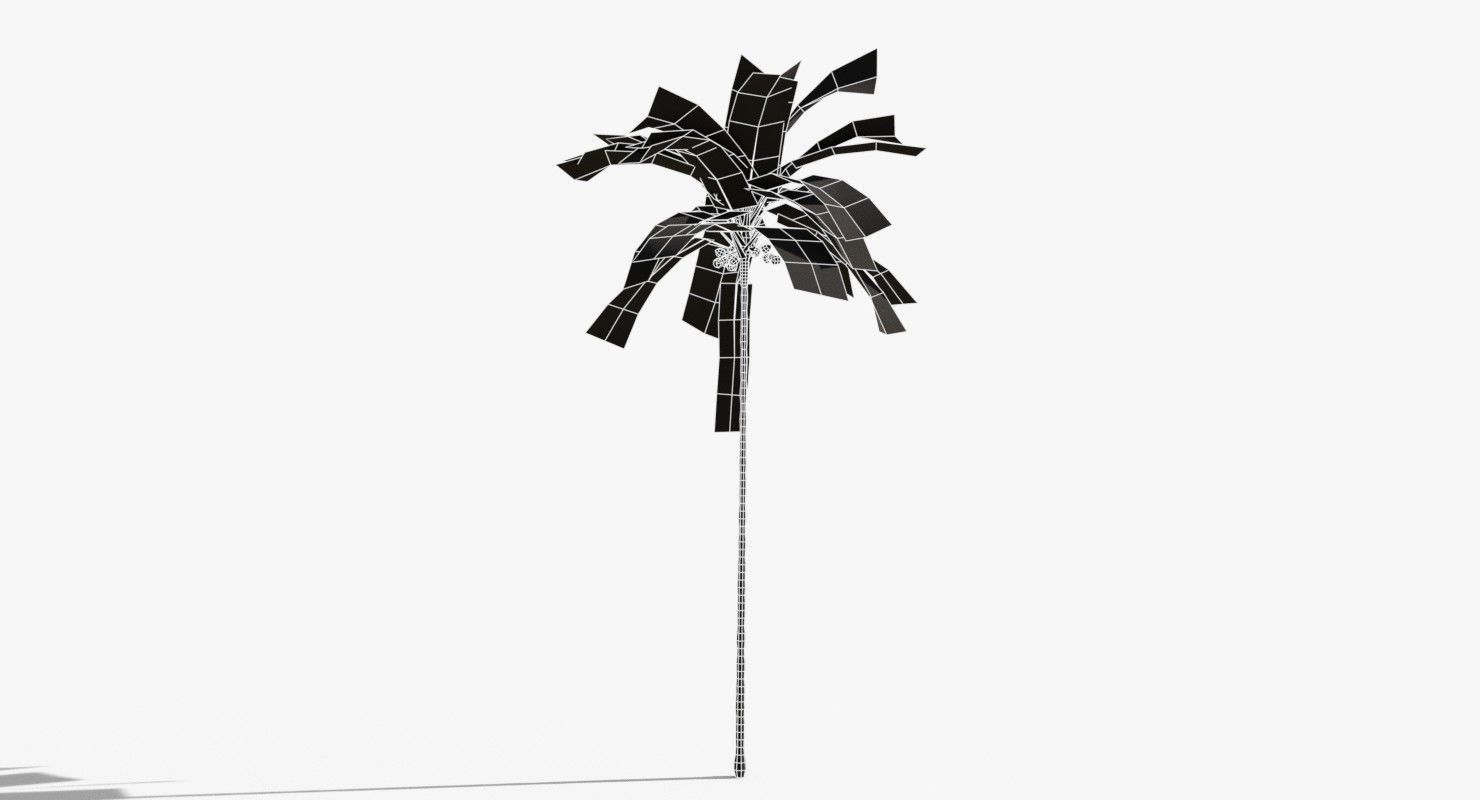 Coconut Palm Tree 5287 Low-poly 3D model_14