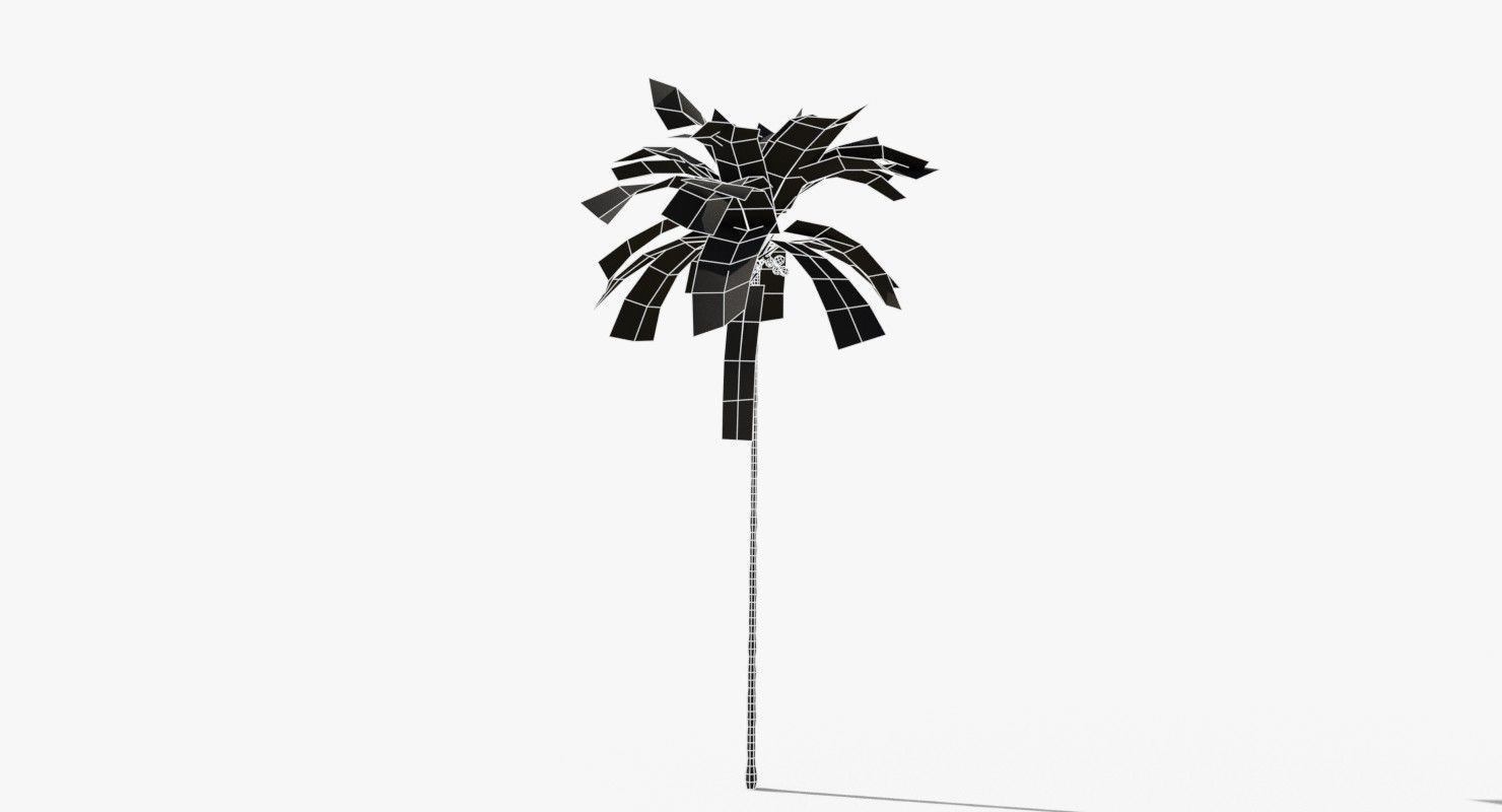 Coconut Palm Tree 5287 Low-poly 3D model_11
