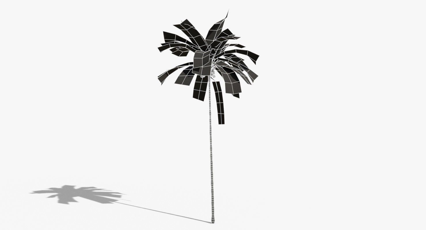 Coconut Palm Tree 5287 Low-poly 3D model_15