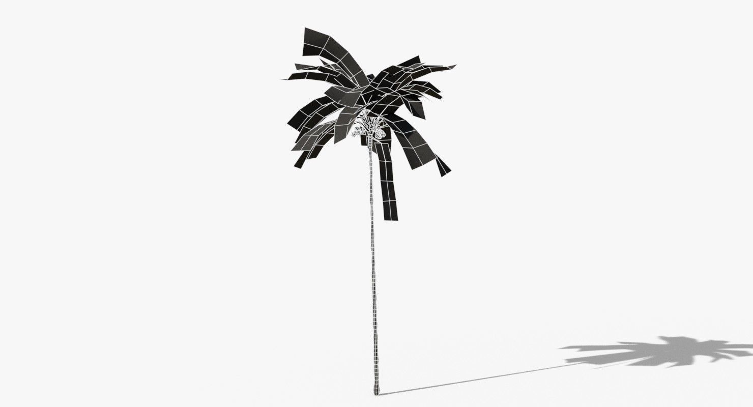 Coconut Palm Tree 5287 Low-poly 3D model_10