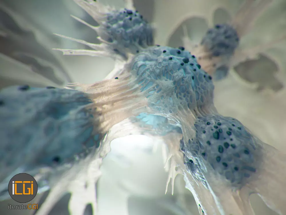 Cancer Cells 3D model Low-poly 3D model_0