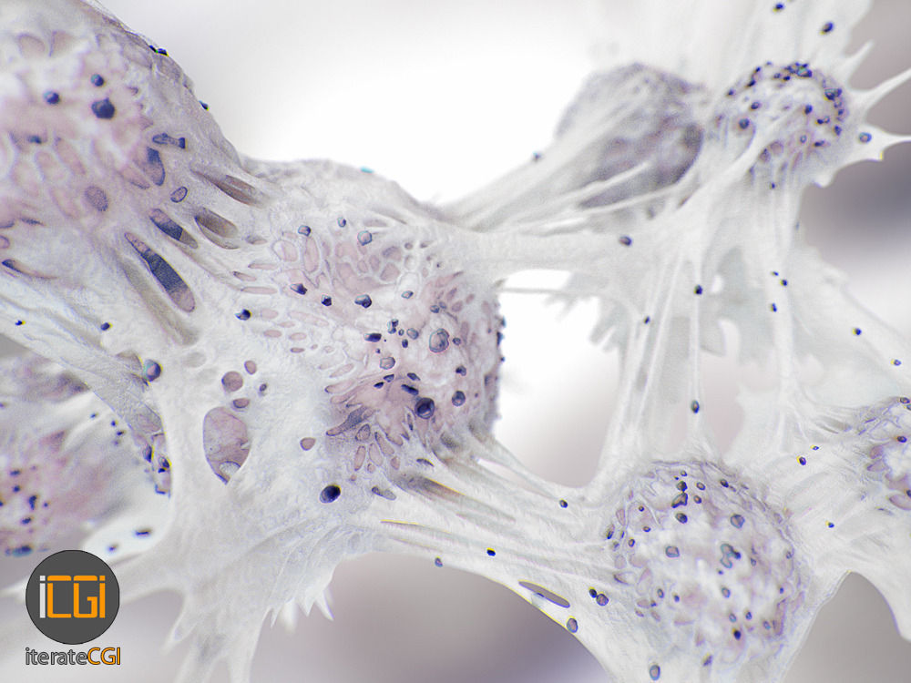 Cancer Cells 3D model Low-poly 3D model_5
