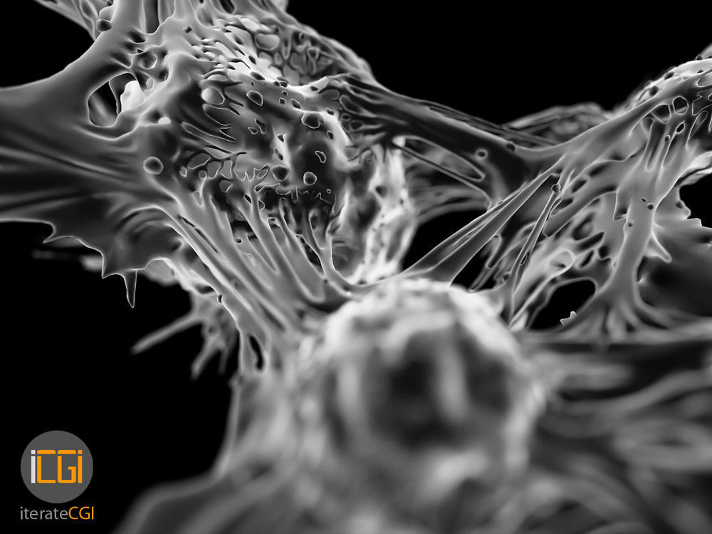 Cancer Cells 3D model Low-poly 3D model_18