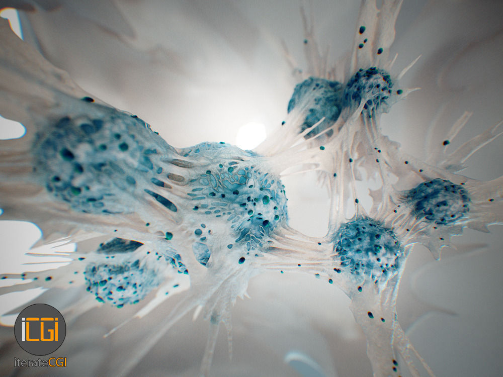 Cancer Cells 3D model Low-poly 3D model_4