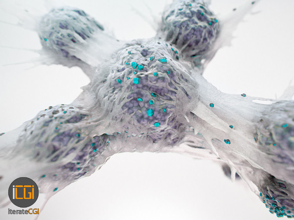 Cancer Cells 3D model Low-poly 3D model_6