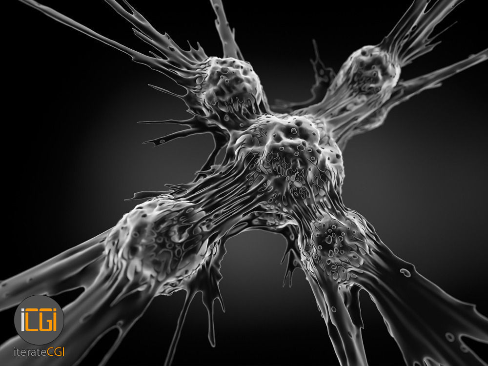 Cancer Cells 3D model Low-poly 3D model_20