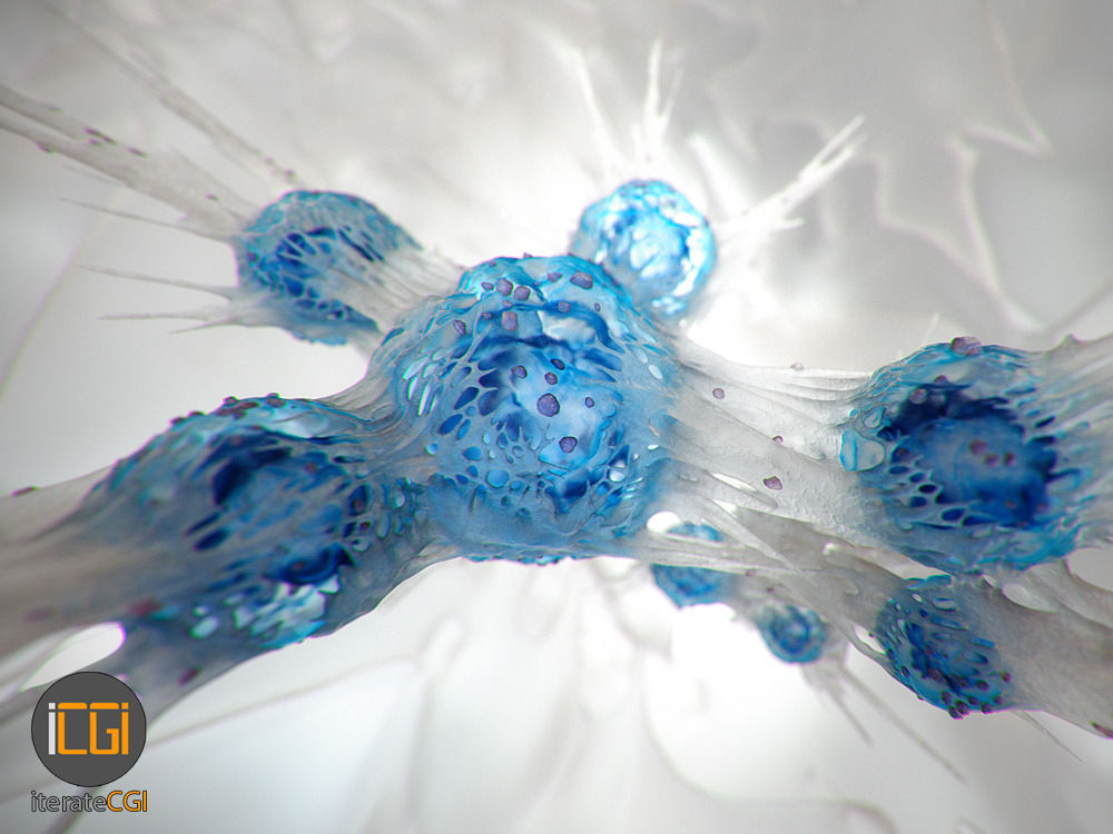 Cancer Cells 3D model Low-poly 3D model_7