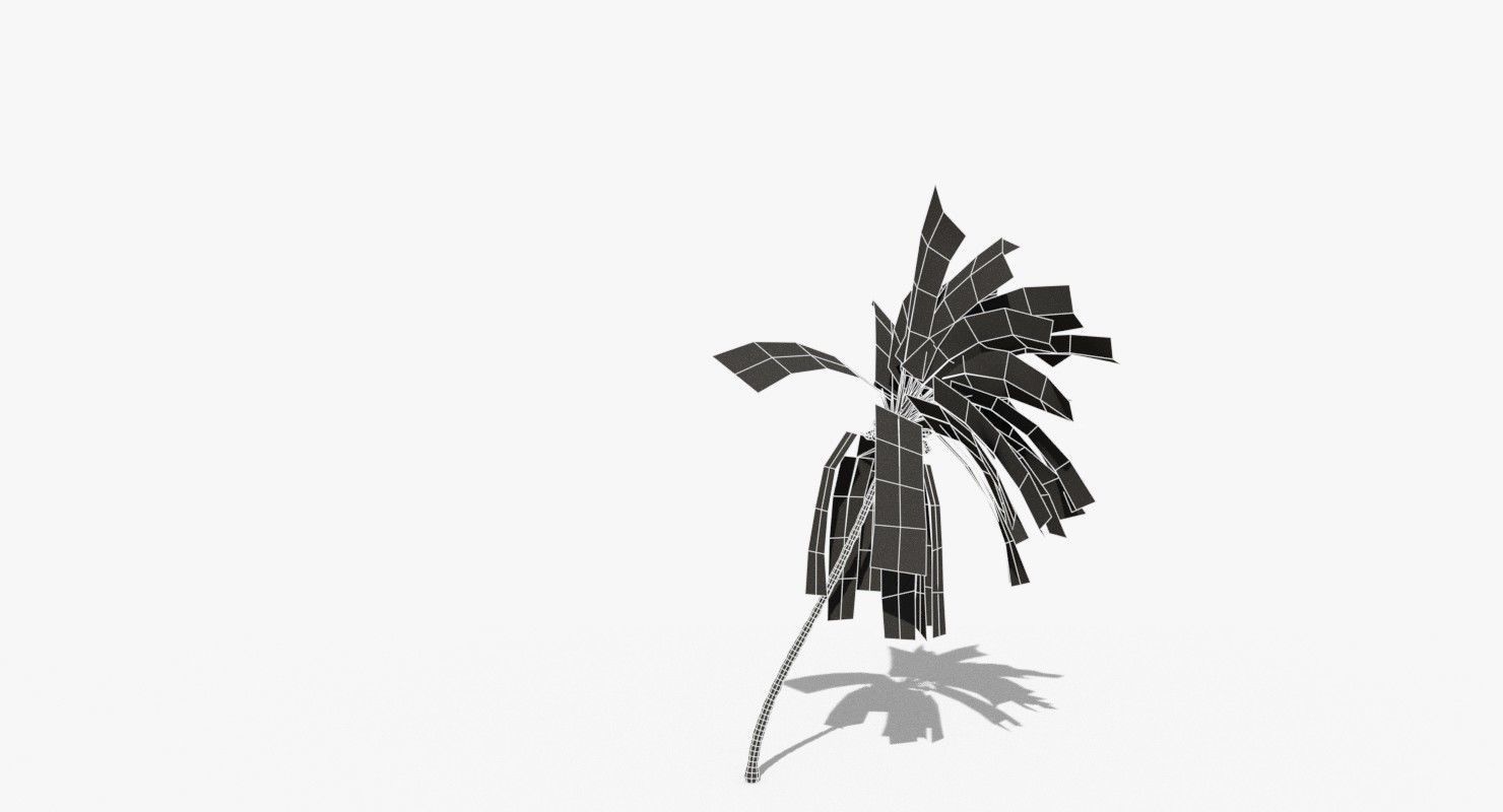 Coconut Palm Tree 5807 Low-poly 3D model_9