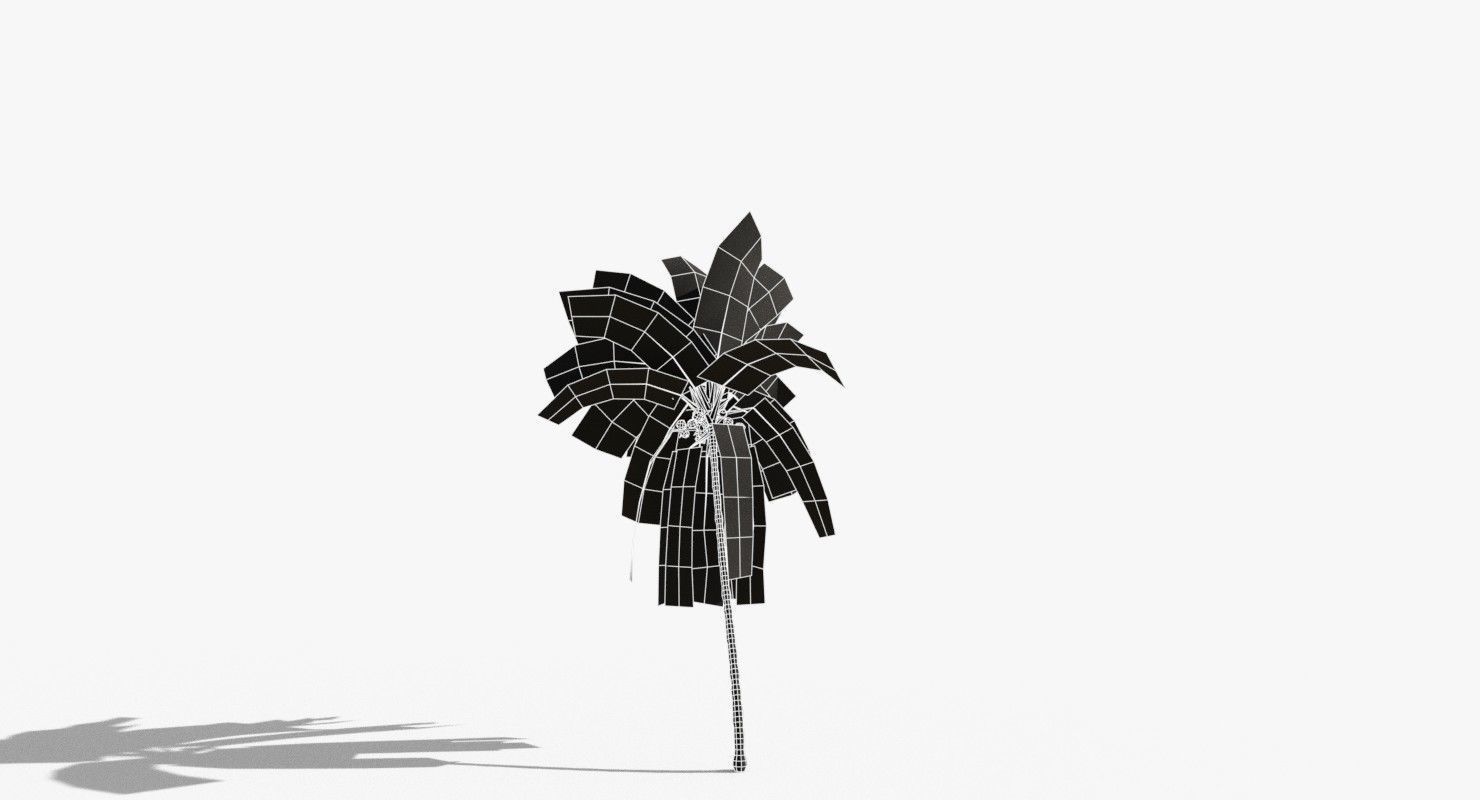 Coconut Palm Tree 5807 Low-poly 3D model_14