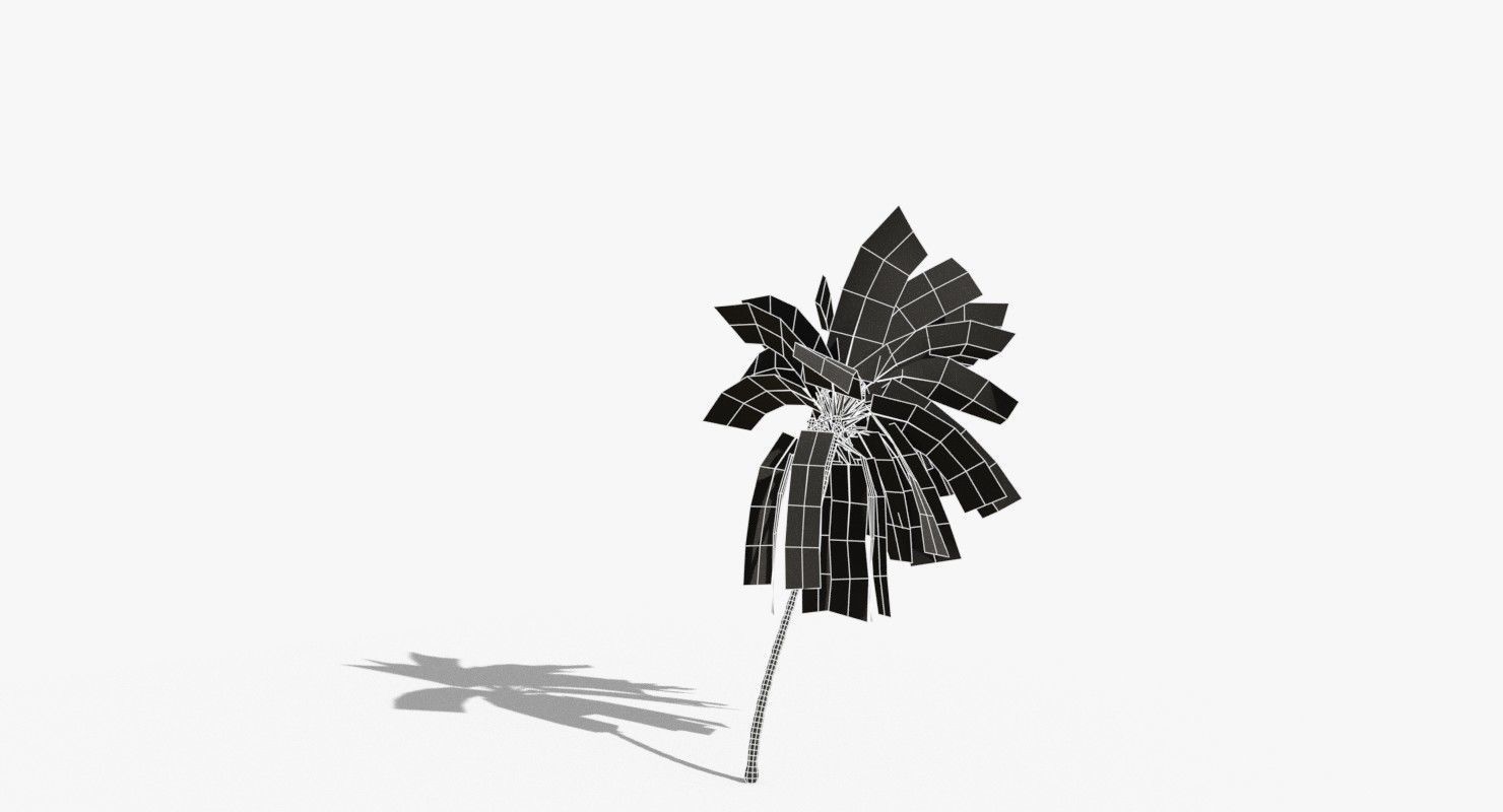 Coconut Palm Tree 5807 Low-poly 3D model_15