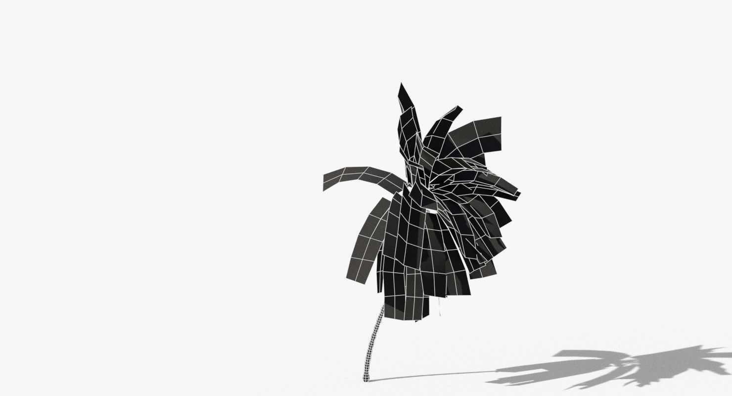 Coconut Palm Tree 5807 Low-poly 3D model_10