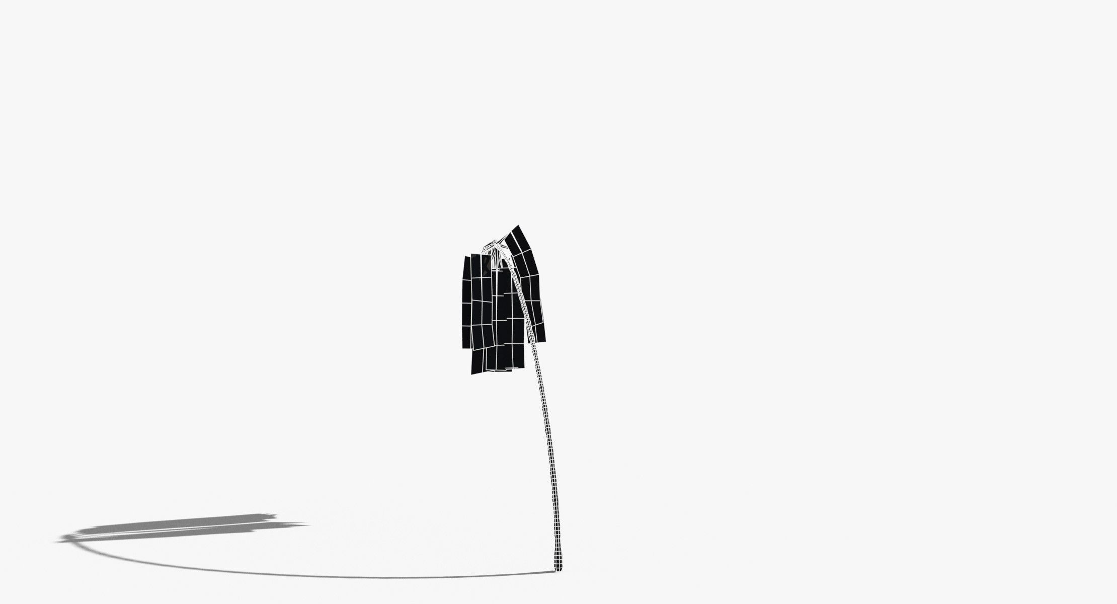 Coconut Palm Tree 7041 Low-poly 3D model_14