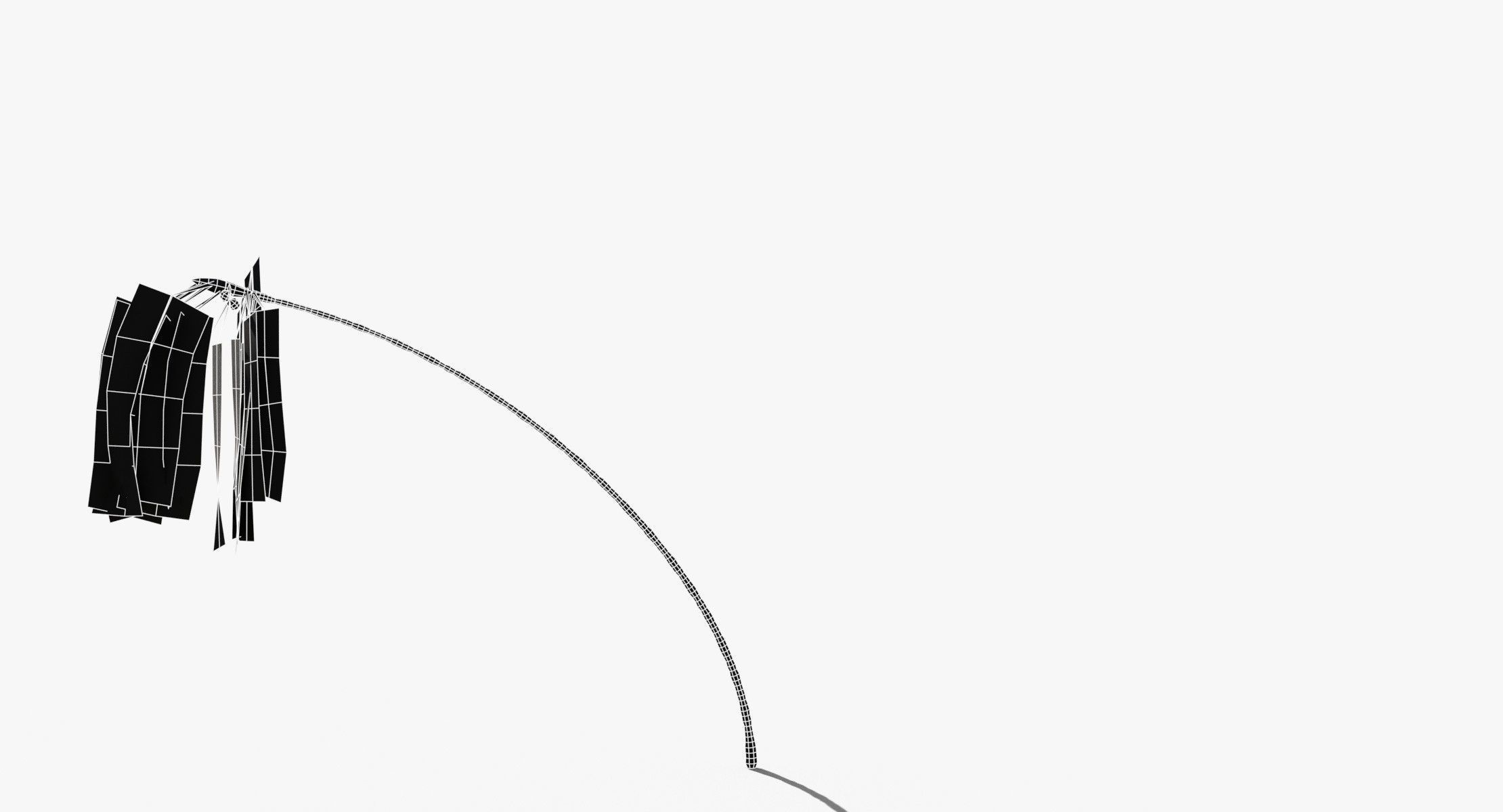 Coconut Palm Tree 7041 Low-poly 3D model_12