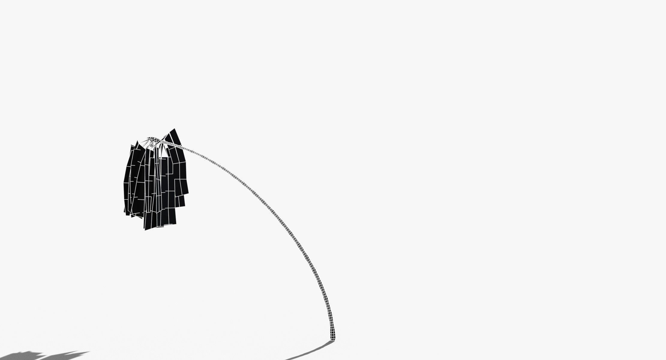 Coconut Palm Tree 7041 Low-poly 3D model_13