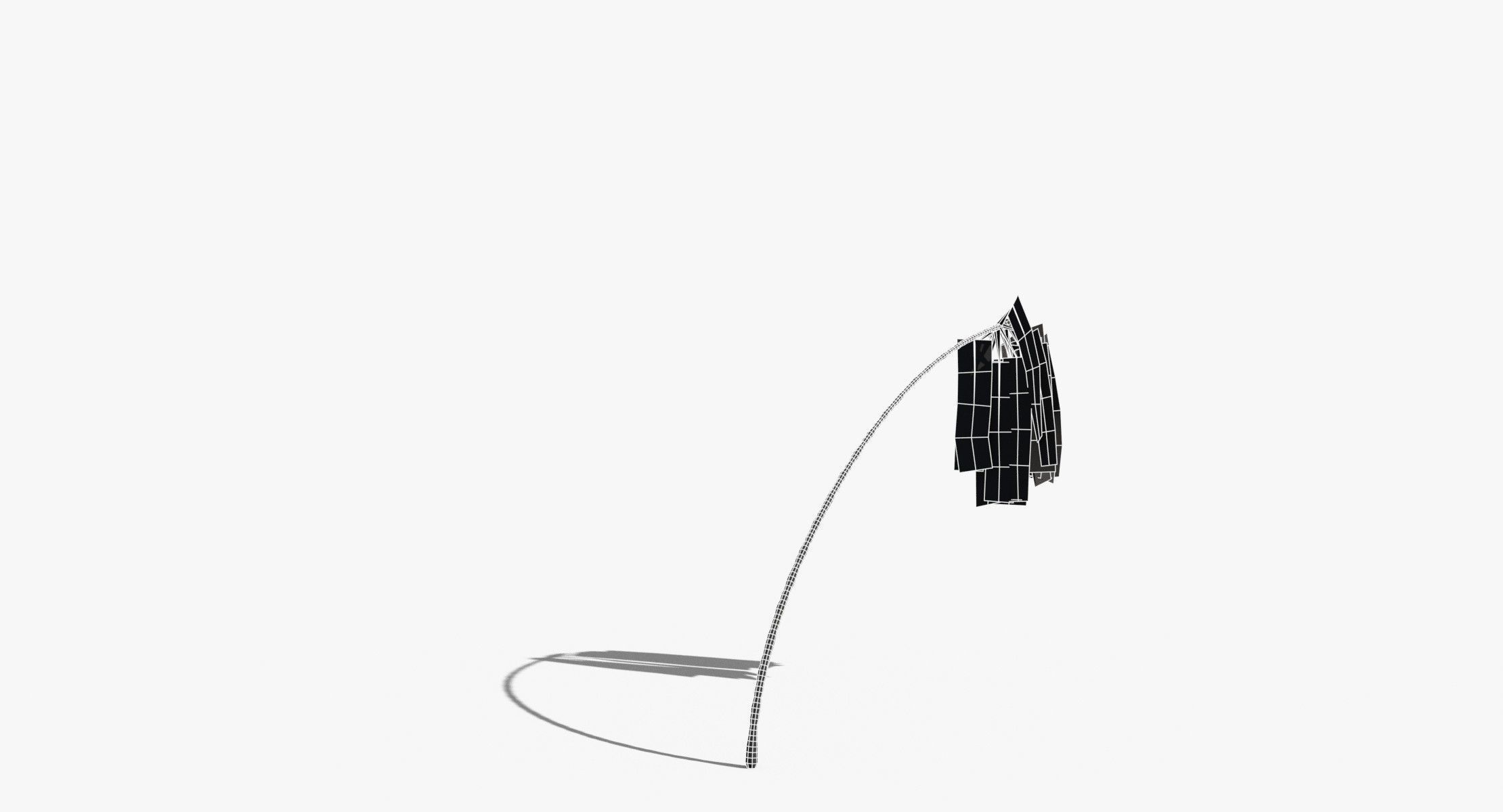 Coconut Palm Tree 7041 Low-poly 3D model_15