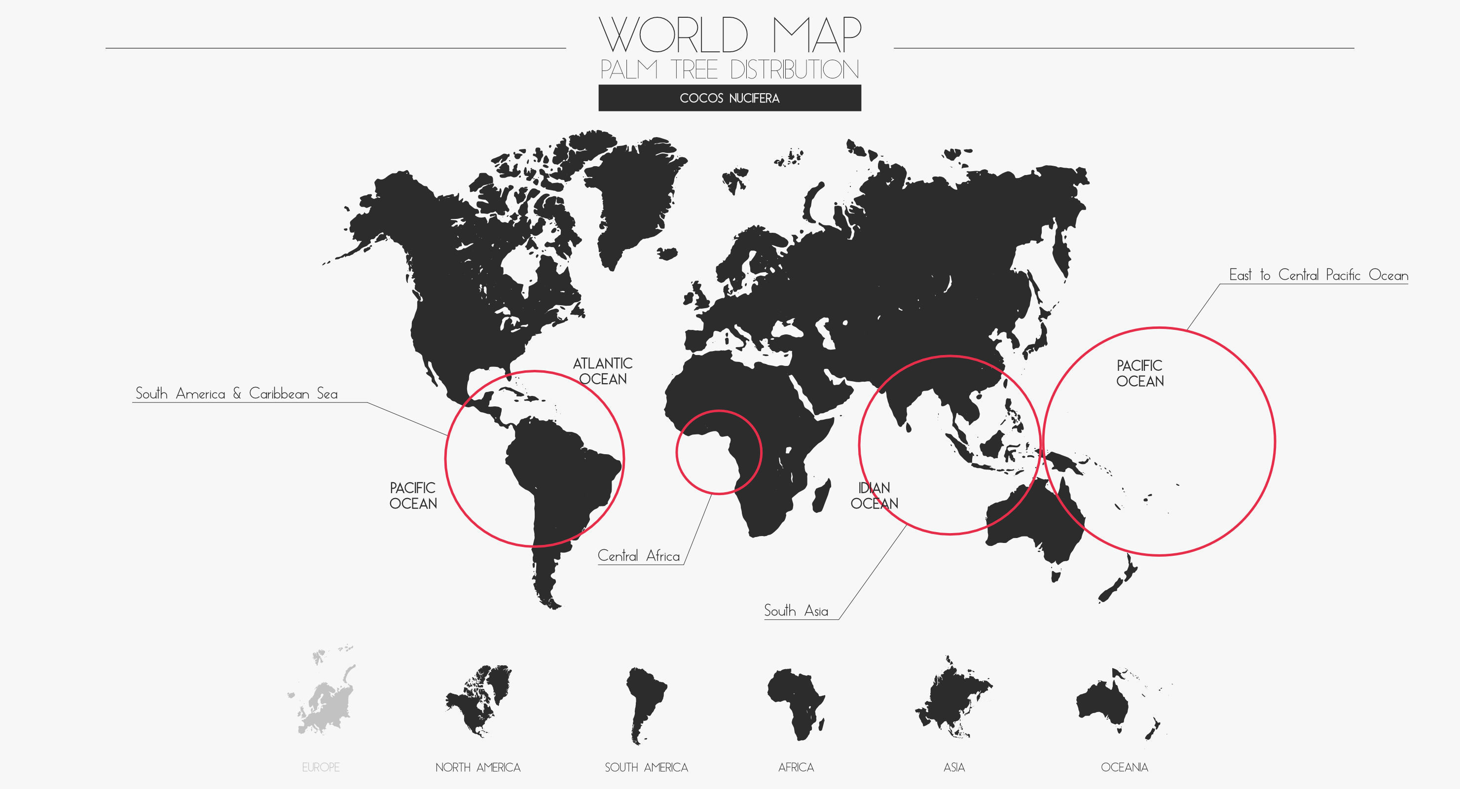 Coconut Palm Tree 7041 Low-poly 3D model_17