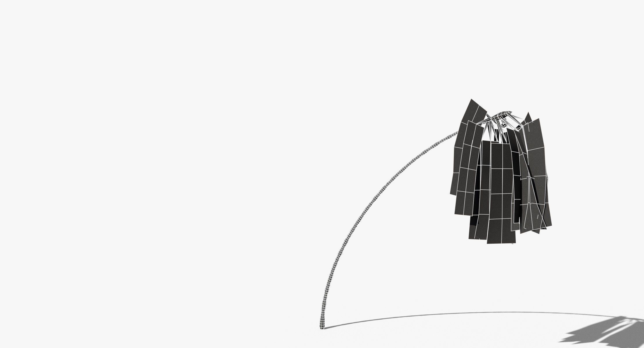 Coconut Palm Tree 7041 Low-poly 3D model_10