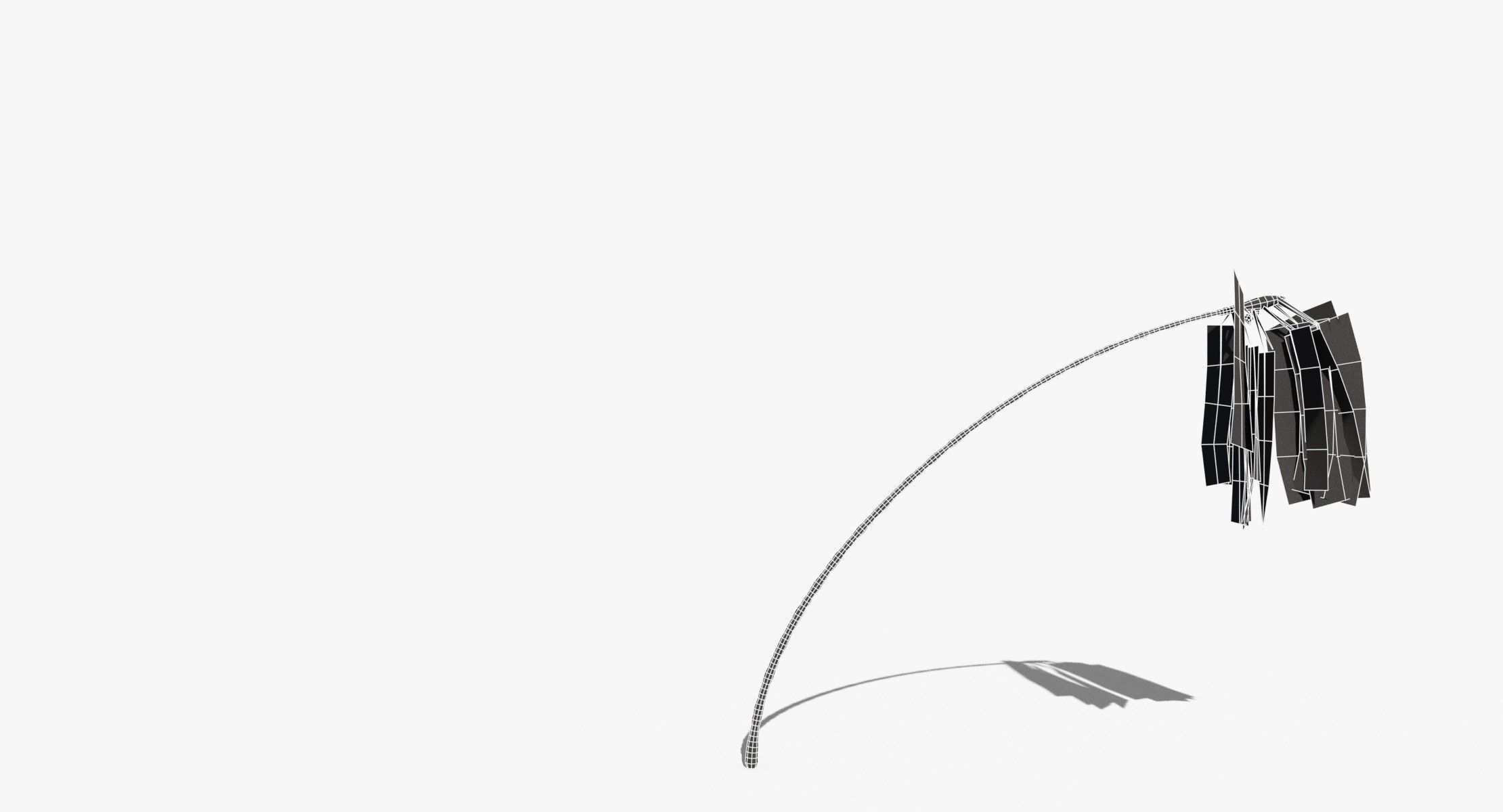 Coconut Palm Tree 7041 Low-poly 3D model_9