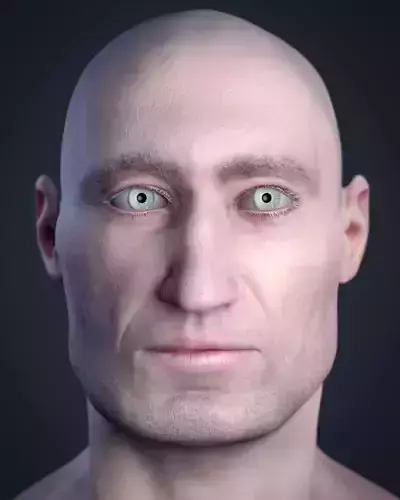 Cranial facial reconstruction - European male head sculpt 3D print model