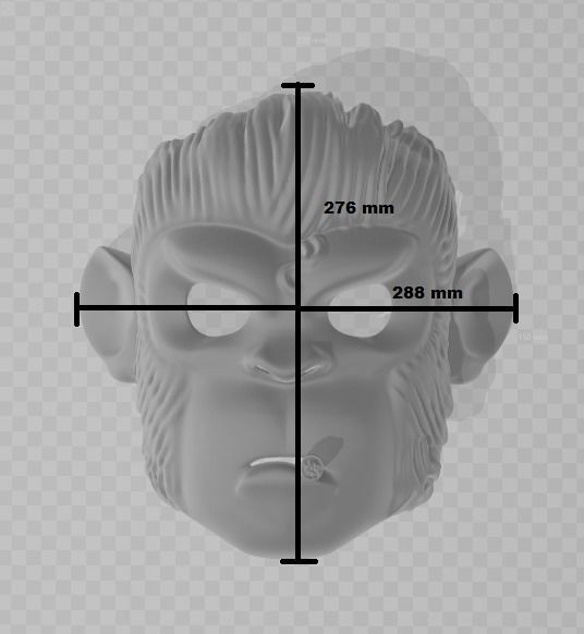 Space Monkey  Pogo Mask 3D print model_3