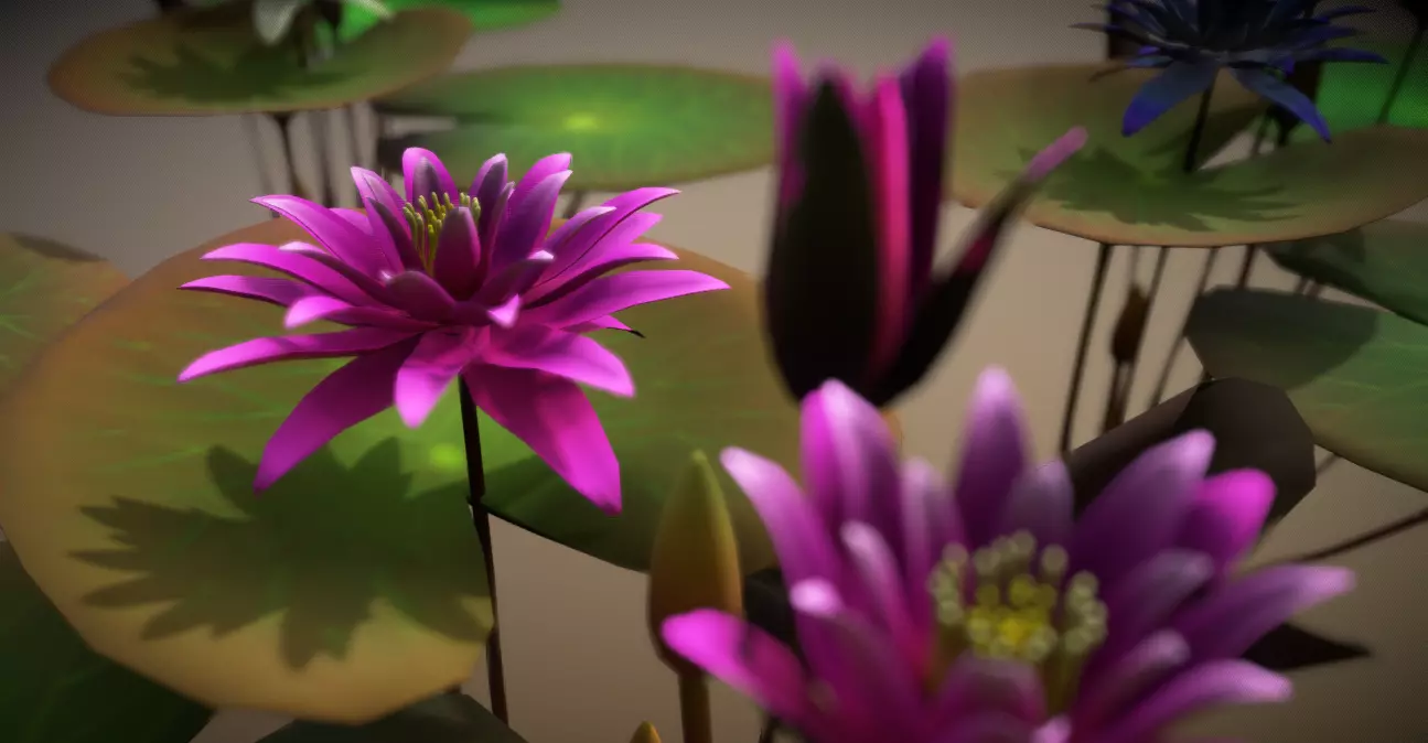 FLower Nymphaea Low-poly 3D model_0