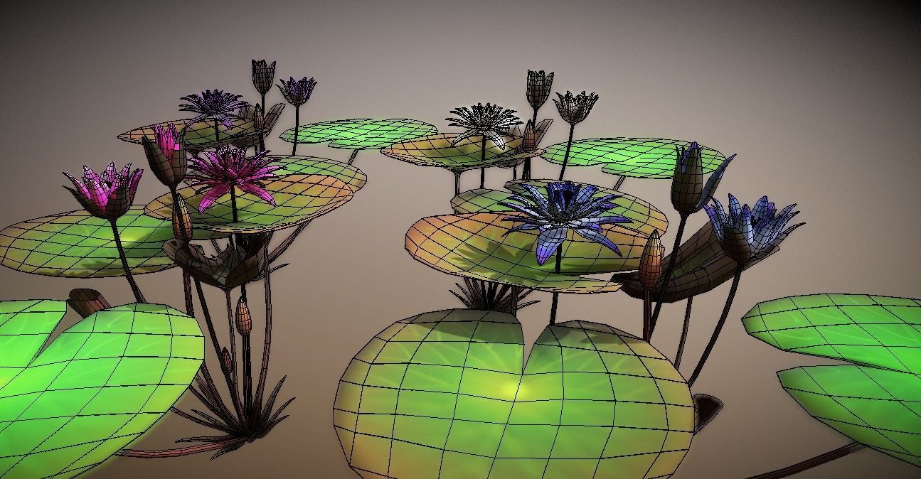 FLower Nymphaea Low-poly 3D model_7