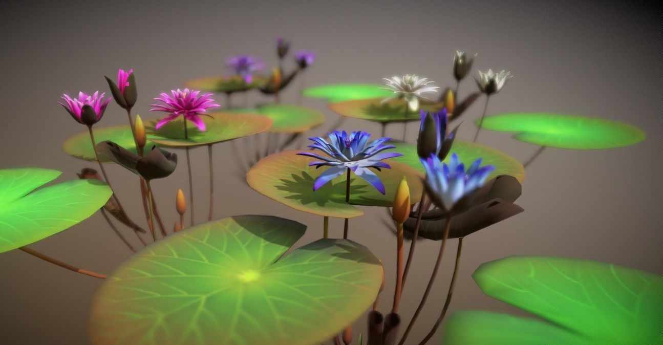 FLower Nymphaea Low-poly 3D model_6