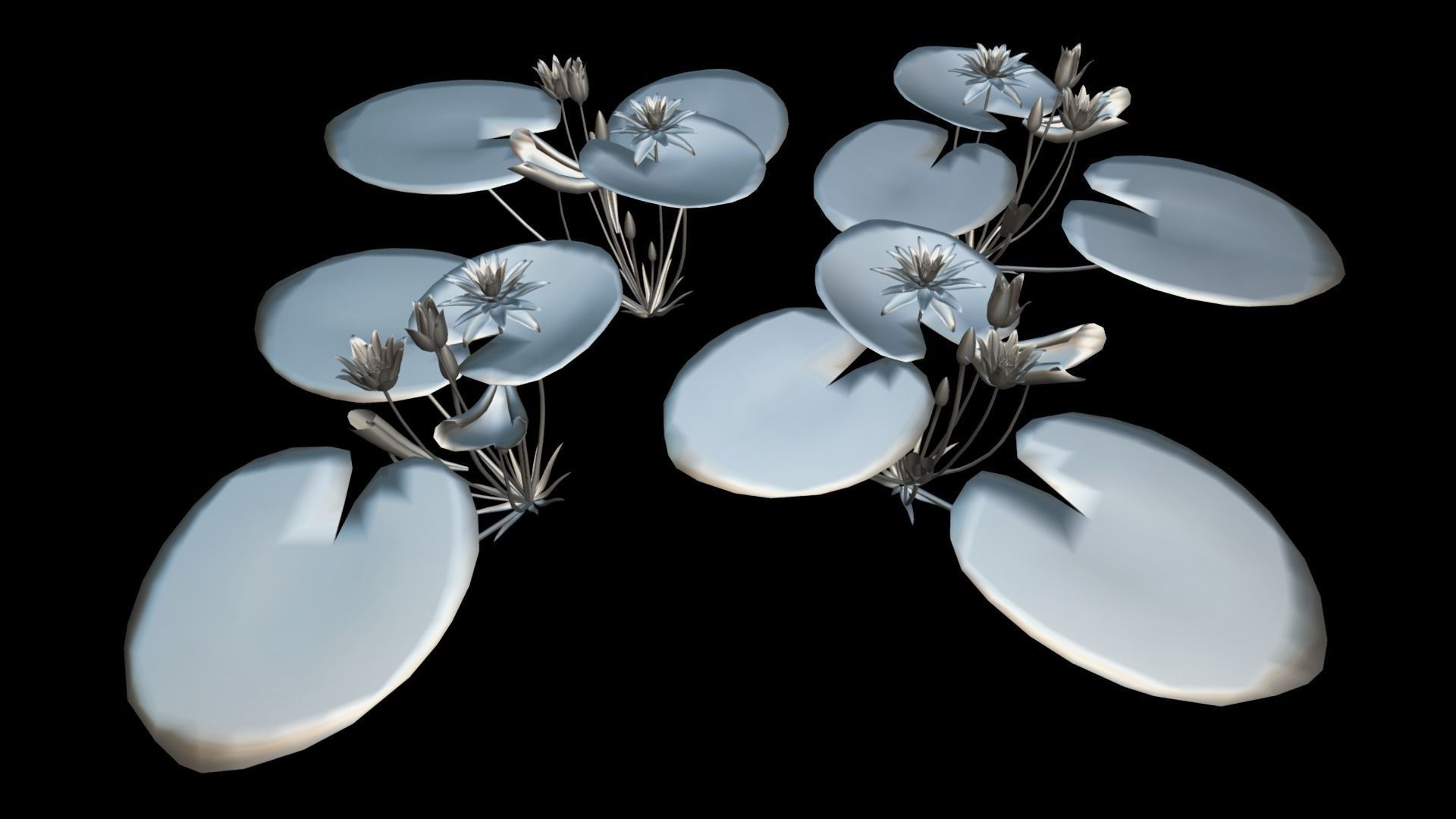 FLower Nymphaea Low-poly 3D model_4