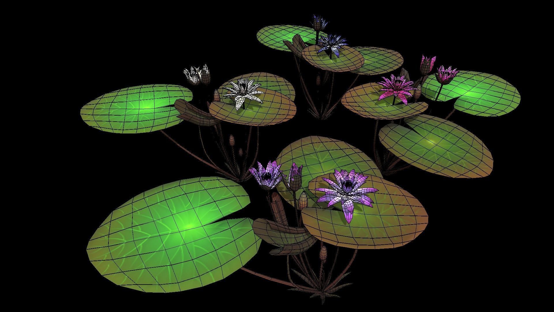 FLower Nymphaea Low-poly 3D model_3