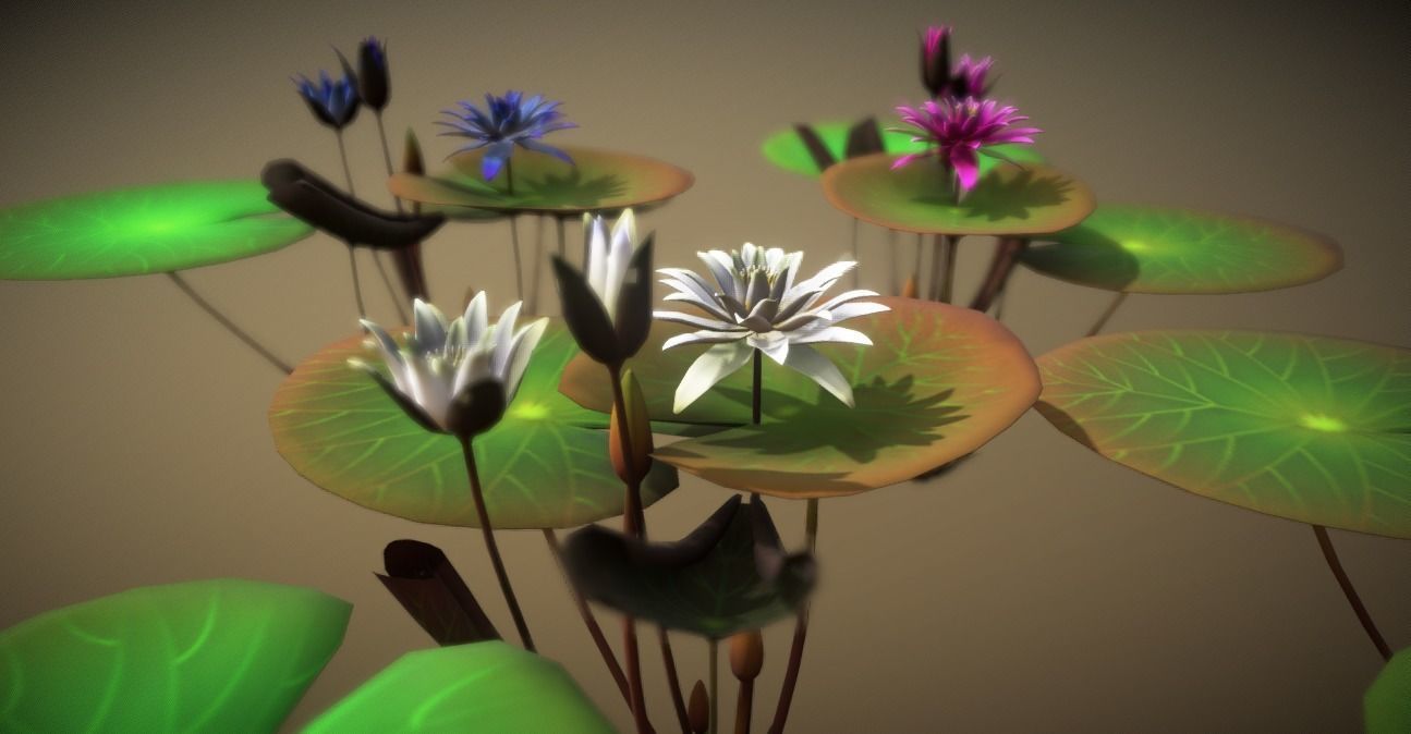 FLower Nymphaea Low-poly 3D model_5