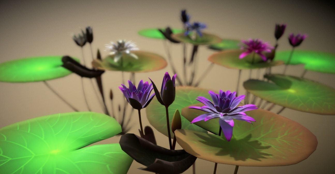 FLower Nymphaea Low-poly 3D model_1
