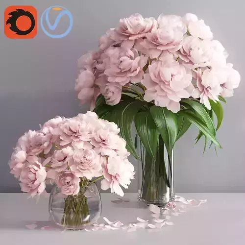 Elegant pink peonies in 2 vases 3D model
