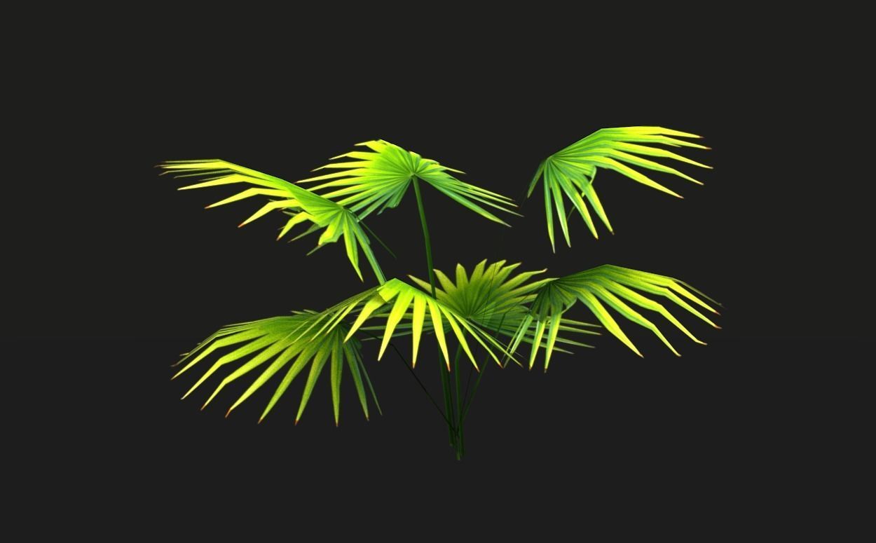 Tropical vegetation pack Low-poly 3D model_9