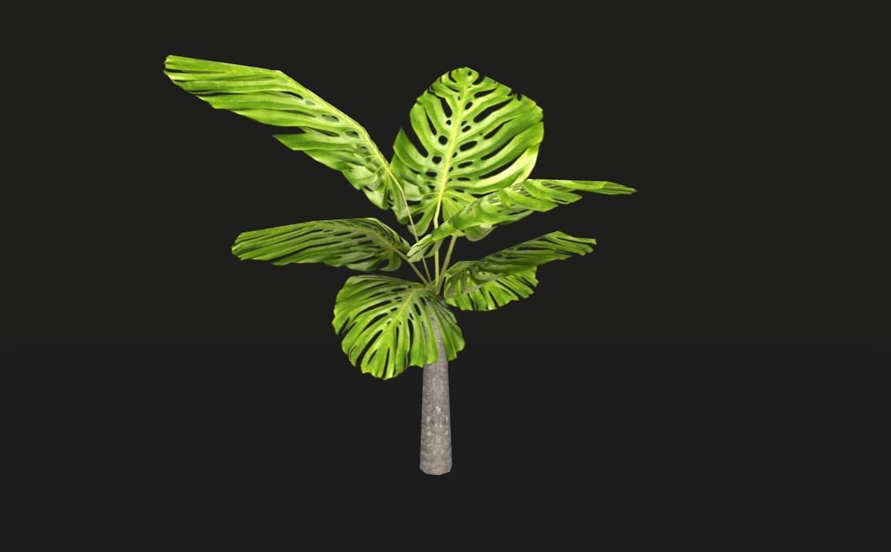 Tropical vegetation pack Low-poly 3D model_5