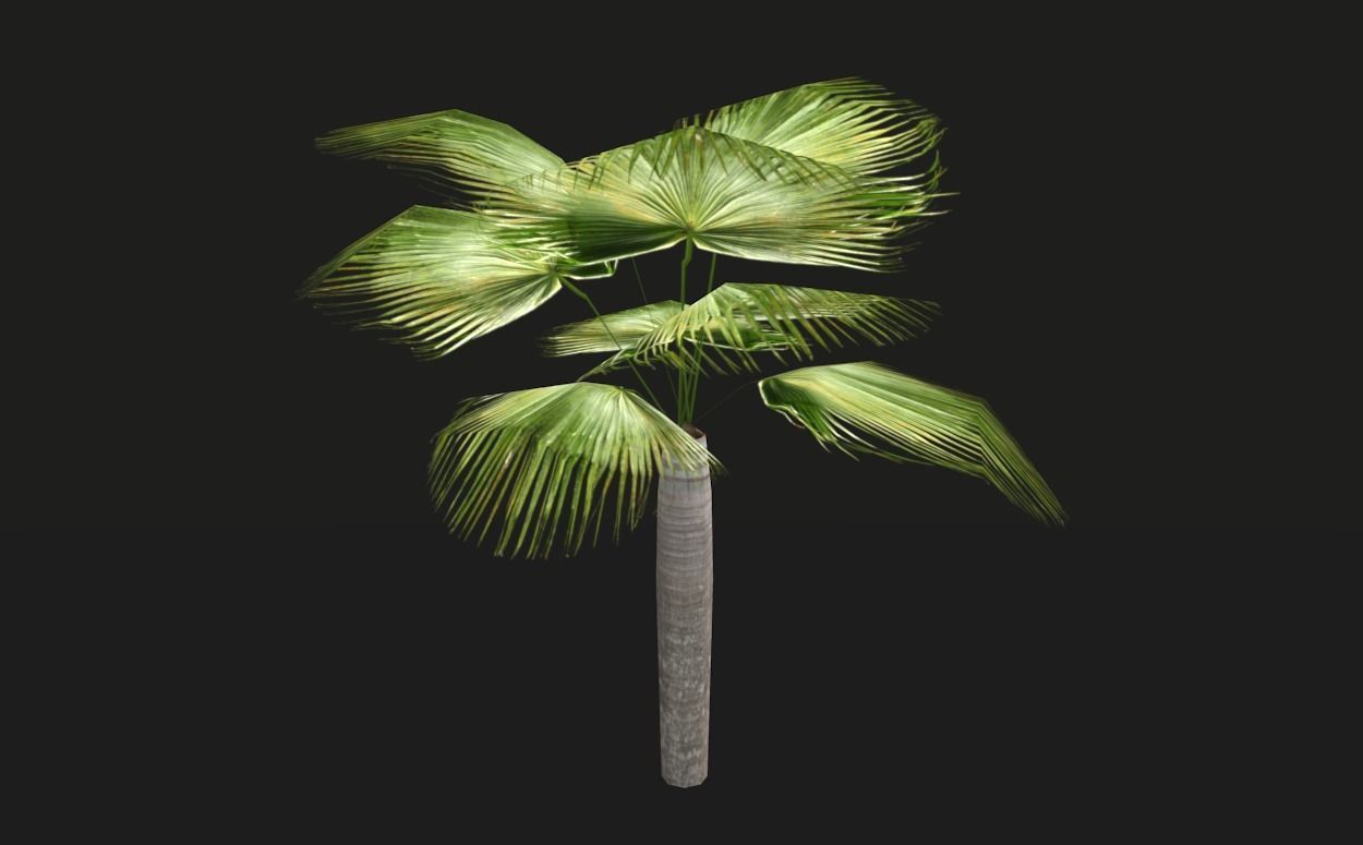 Tropical vegetation pack Low-poly 3D model_6