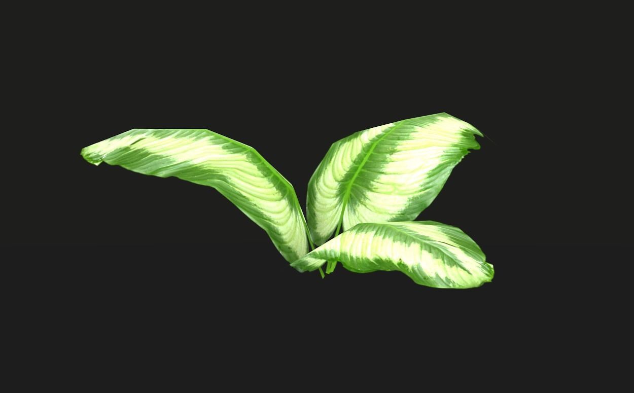 Tropical vegetation pack Low-poly 3D model_12