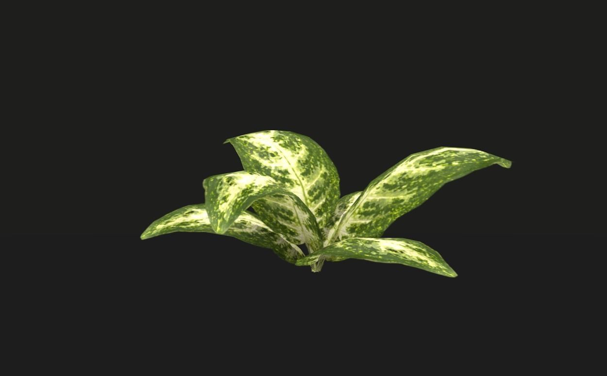 Tropical vegetation pack Low-poly 3D model_2