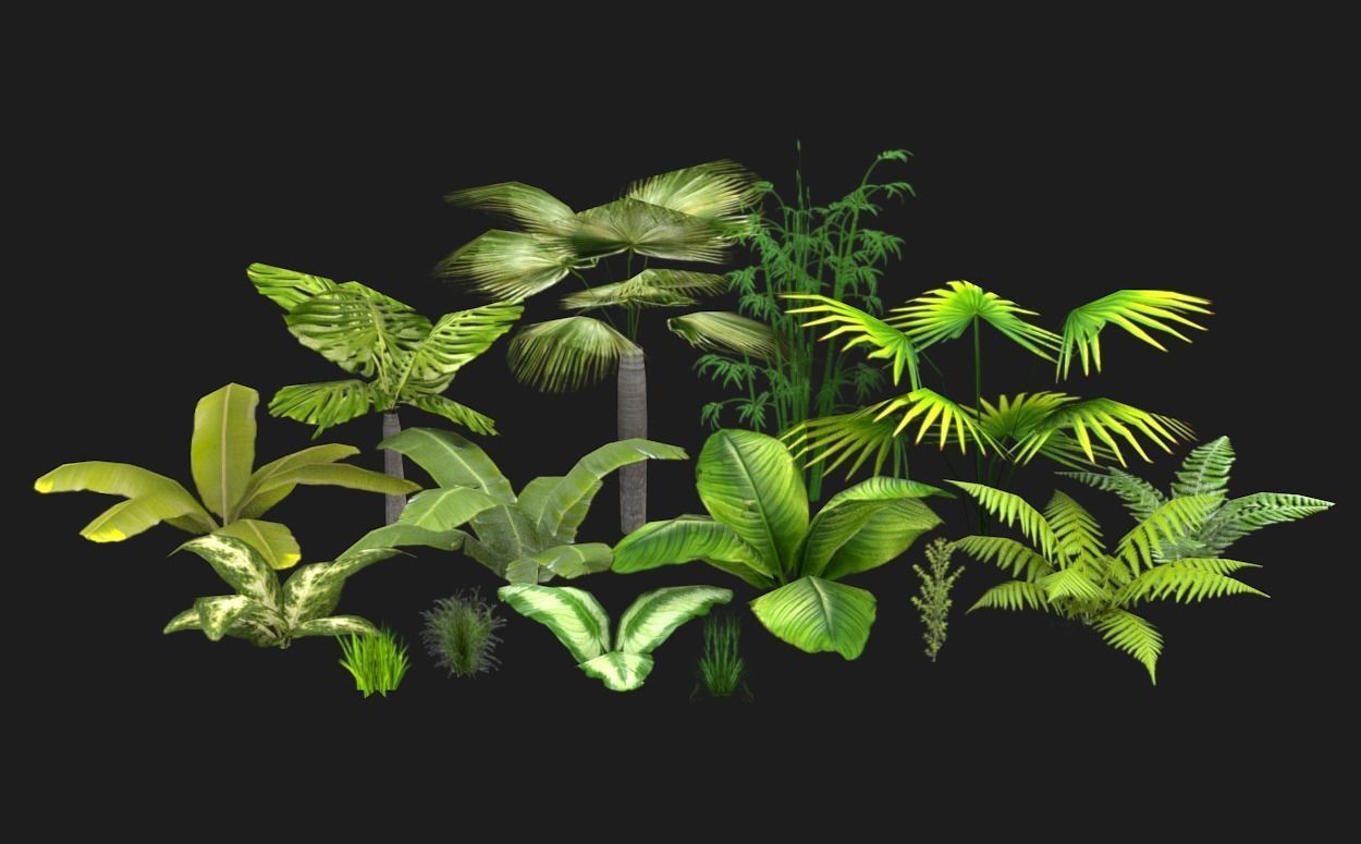 Tropical vegetation pack Low-poly 3D model_17