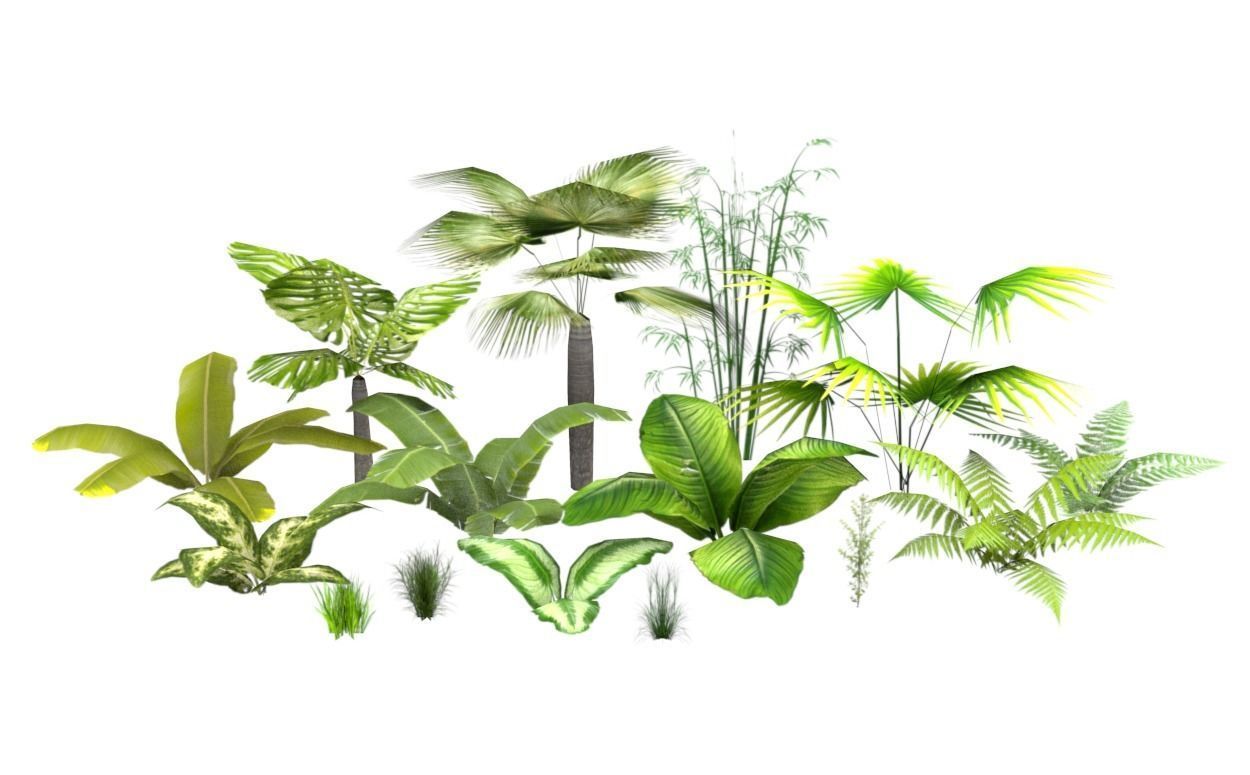Tropical vegetation pack Low-poly 3D model_1