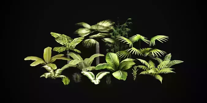Tropical vegetation pack Low-poly 3D model