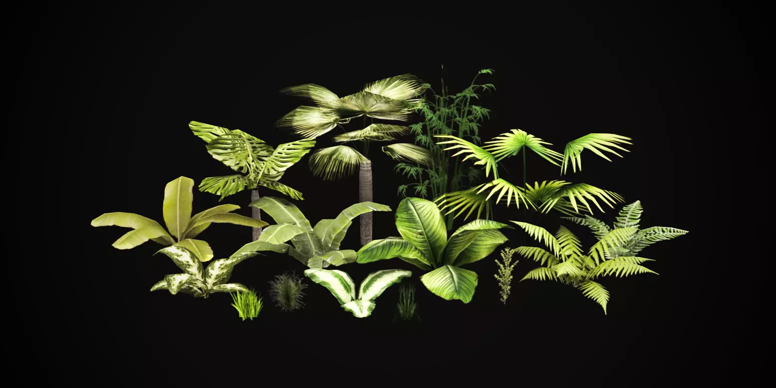 Tropical vegetation pack Low-poly 3D model_0