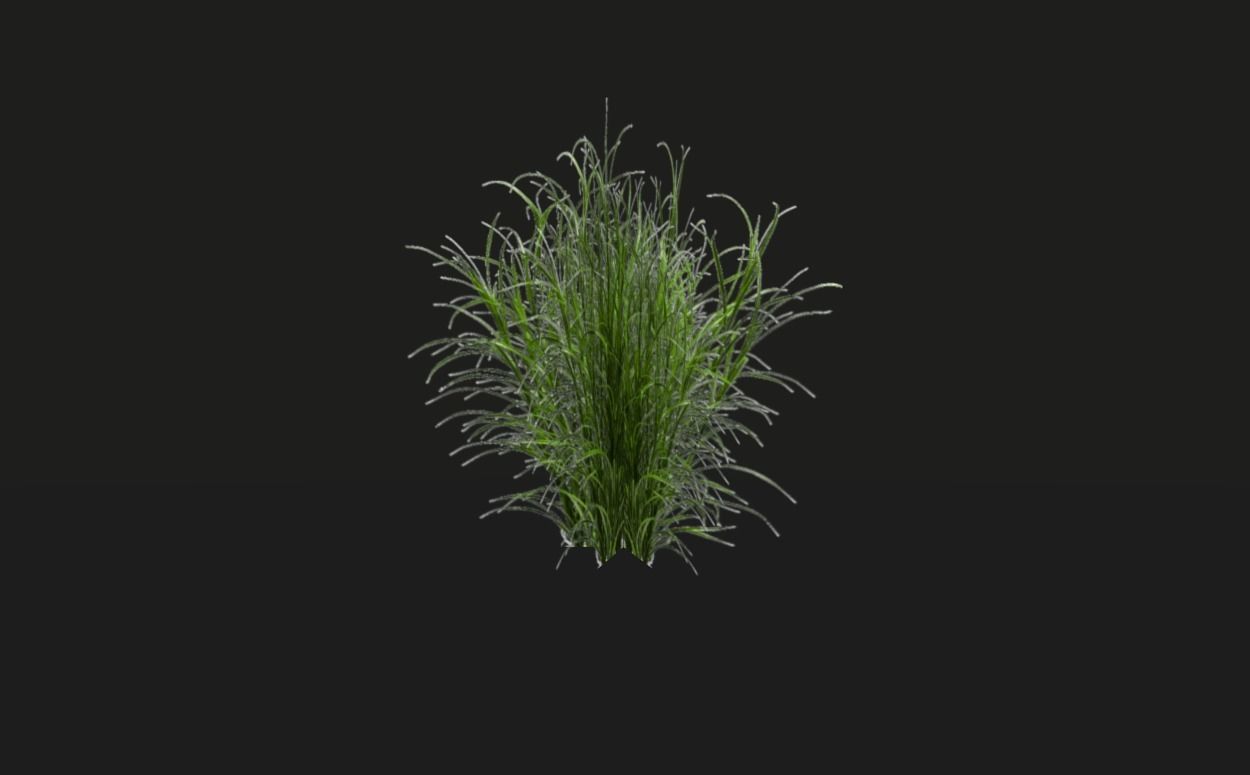 Tropical vegetation pack Low-poly 3D model_15