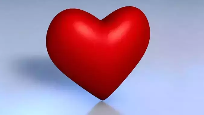 Heart