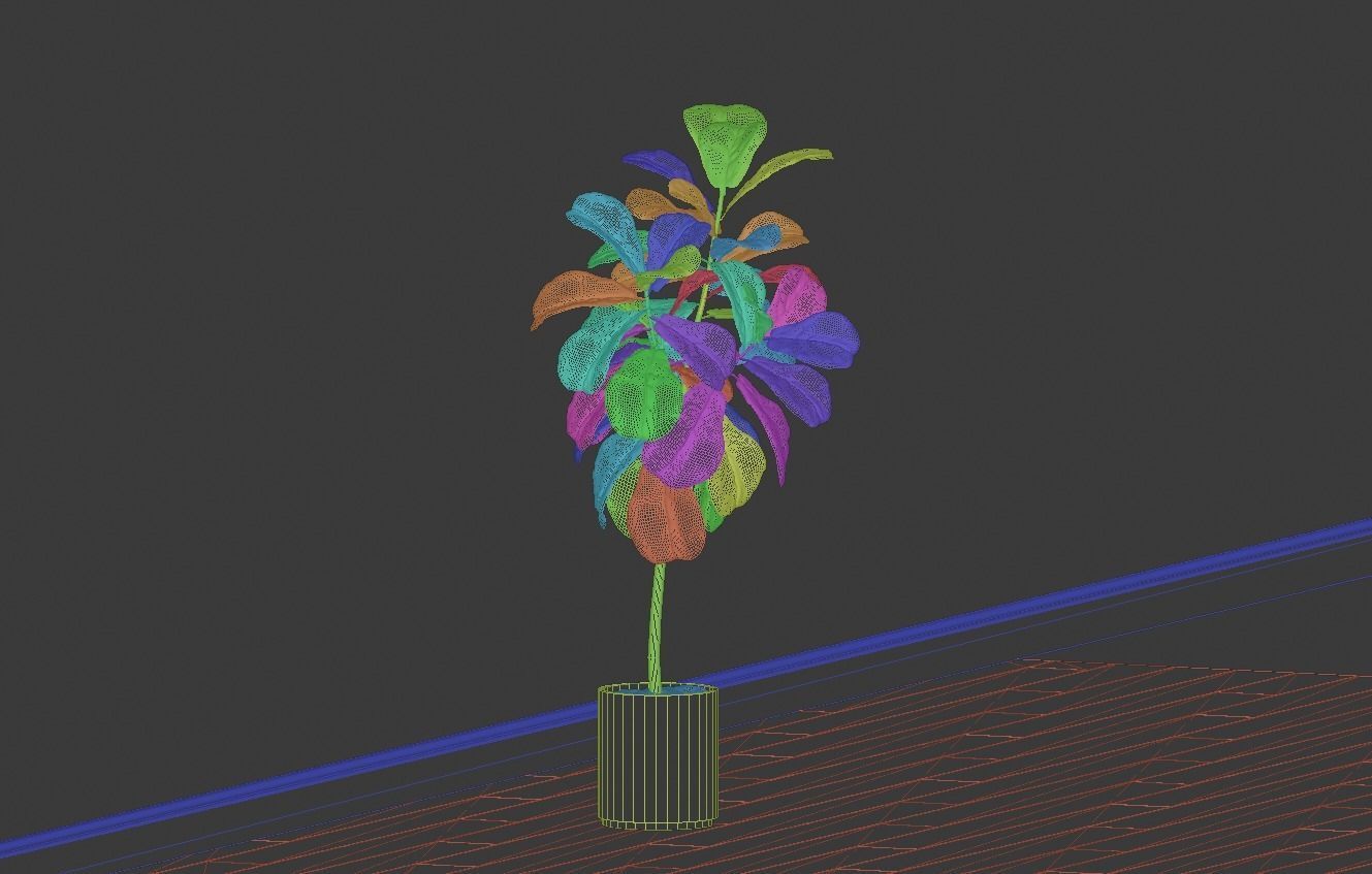Ficus Lyrata- Fiddle Leaf Fig Plant 3D model_13