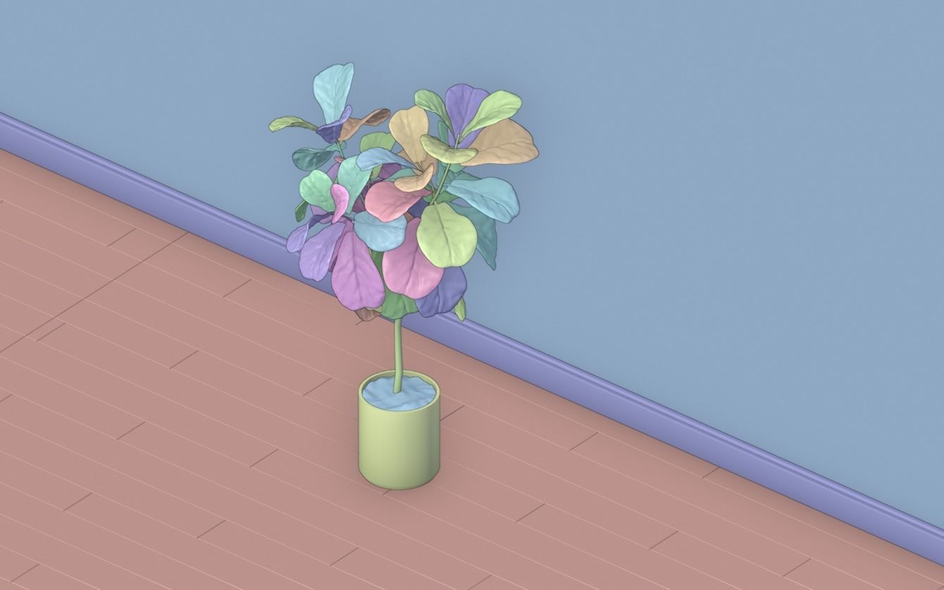 Ficus Lyrata- Fiddle Leaf Fig Plant 3D model_16