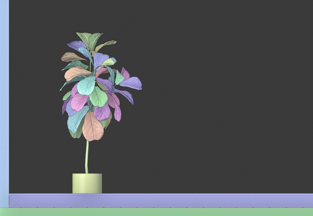 Ficus Lyrata- Fiddle Leaf Fig Plant 3D model_15