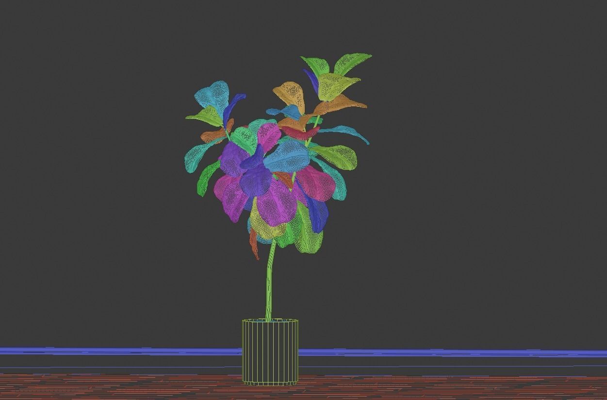 Ficus Lyrata- Fiddle Leaf Fig Plant 3D model_11