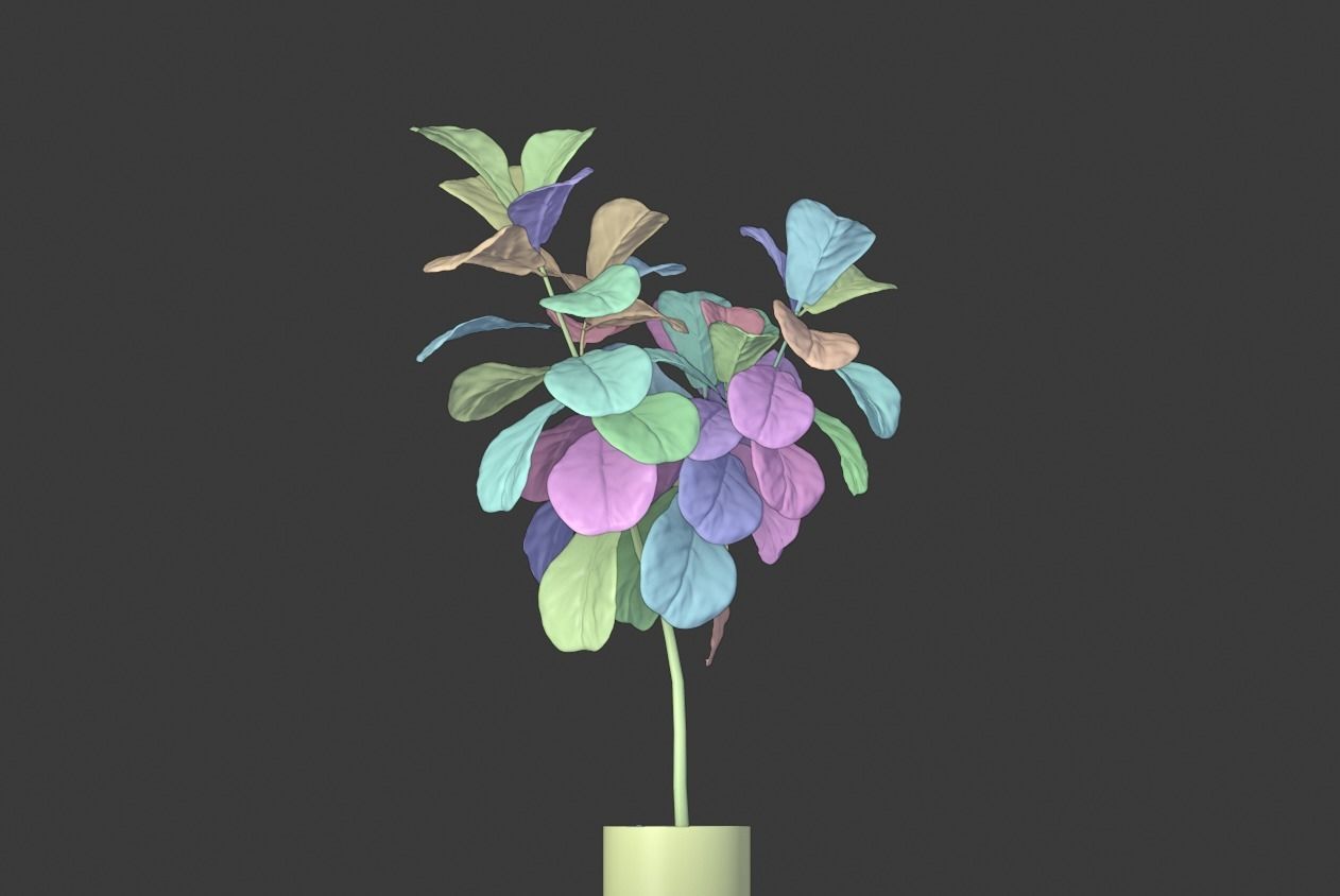 Ficus Lyrata- Fiddle Leaf Fig Plant 3D model_14